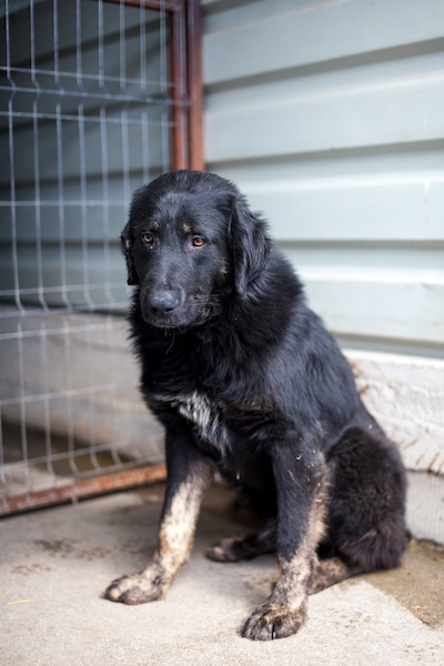 Ruede Flax sitzt auf dem Boden und schaut verträumt in die Kamera