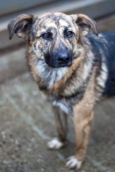 Riad steht und schaut zur Kamera