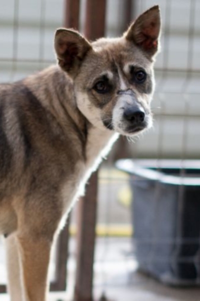 Flavia schaut aufmerksam in die Kamera.